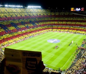 世界杯2026-猛龙擒鹈鹕，福克斯西甲称王，体育世界里的接管艺术